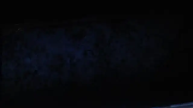 joeydee1 online show from 02-17-25, 02:04