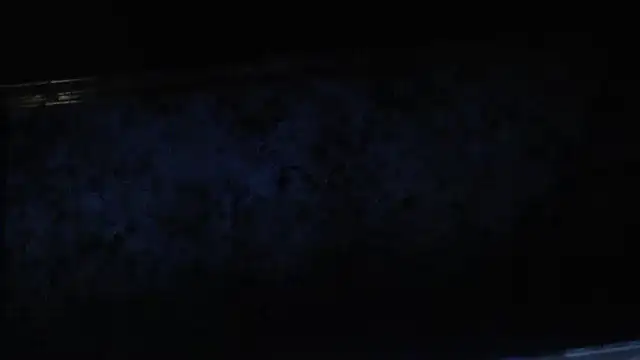 joeydee1 online show from 02-17-25, 11:20