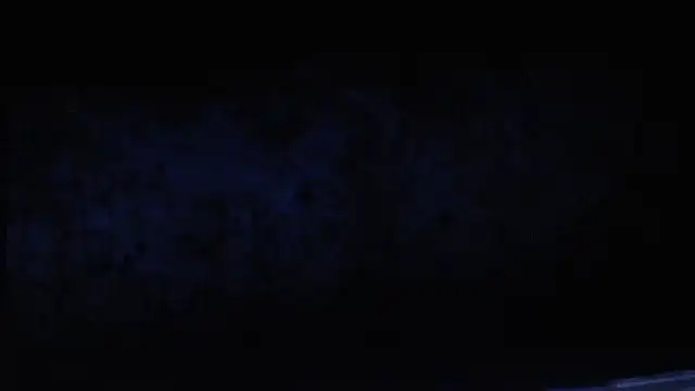 joeydee1 online show from 02-19-25, 12:03