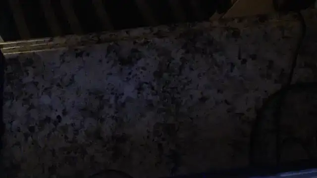 joeydee1 online show from 02-19-25, 03:06