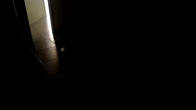 joeydee1 online show from 03-08-25, 04:28