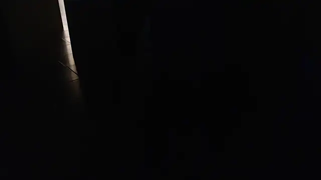 joeydee1 online show from 03-15-25, 11:29