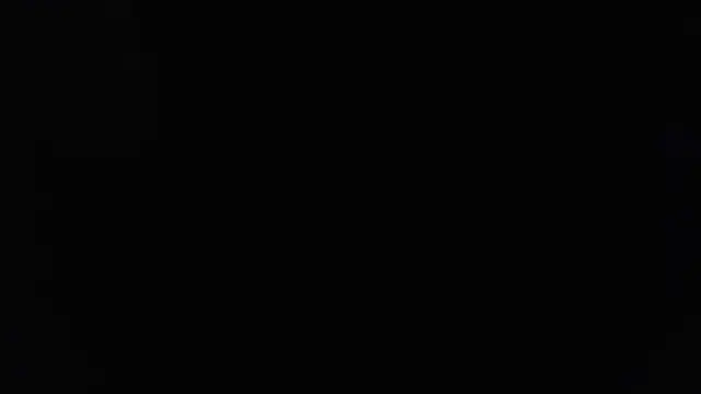 joeydee1 online show from 03-16-25, 05:58