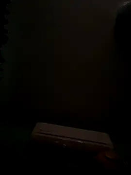 MephiticBermudas online show from 10-20-25, 06:25