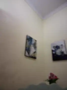 Snapshot of MaverickGray chatting on 01-26-25, 04:41 MaverickGray online show from 01-26-25, 04:41