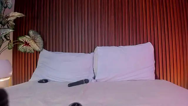 Snapshot of alisson_81 chatting on 10-22-25, 02:56 alisson 81 online show from 10-22-25, 02:56