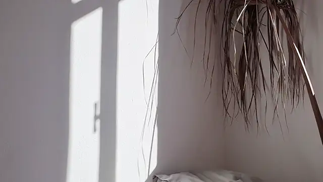 my lina online show from 10-17-25, 06:27