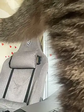 Snapshot of GraceTorrez chatting on 03-21-25, 06:05 GraceTorrez online show from 03-21-25, 06:05