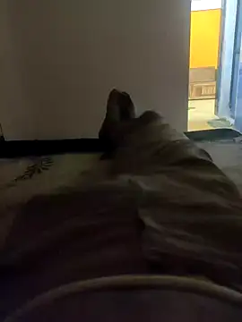 Snapshot of HandsomeHunky1 chatting on 11-10-25, 04:50 HandsomeHunky1 online show from 11-10-25, 04:50