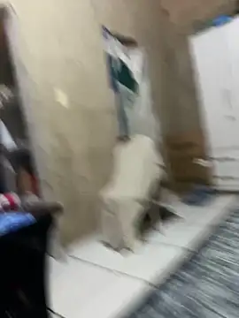 HenriqueH3 online show from 03-02-26, 04:14