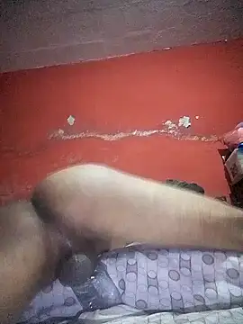 VL25DN26 online show from 12-22-24, 01:33