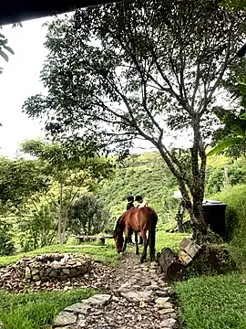 Snapshot of FlpGmz chatting on 04-04-26, 10:18 FlpGmz online show from 04-04-26, 10:18