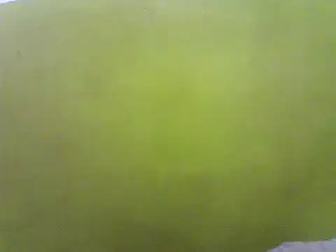 Claris2 online show from 01-21-25, 06:34