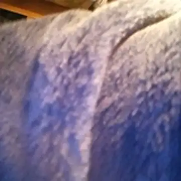 amarrabrown2024 online show from 10-15-25, 06:46