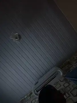 Avint-Perfeita online show from 11-20-25, 10:31