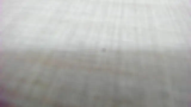 Snapshot of AishaRouhi chatting on 02-14-26, 05:26 AishaRouhi online show from 02-14-26, 05:26