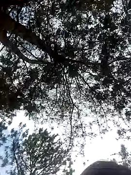 Snapshot of Sofia_xx2 chatting on 02-27-25, 08:50 Sofia xx2 online show from 02-27-25, 08:50