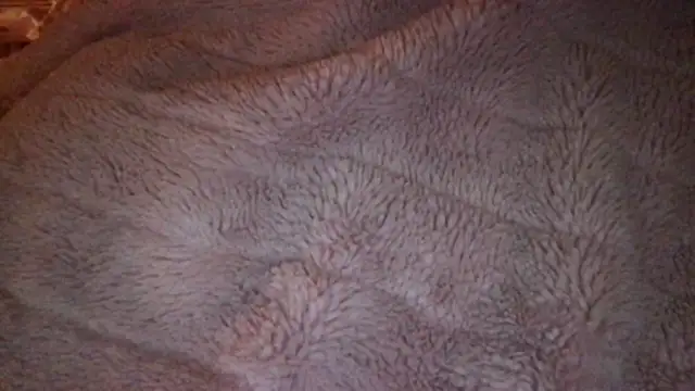 loveofbea online show from 04-09-26, 06:19