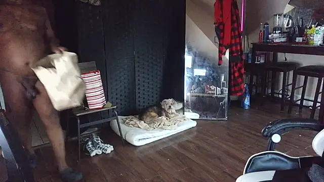 bigshh8 online show from 01-11-26, 12:04