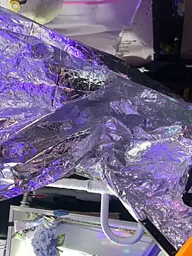 Snapshot of gurlnips chatting on 10-08-25, 06:05 gurlnips online show from 10-08-25, 06:05