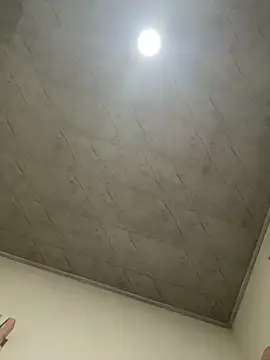 petitolivia online show from 09-20-25, 04:24