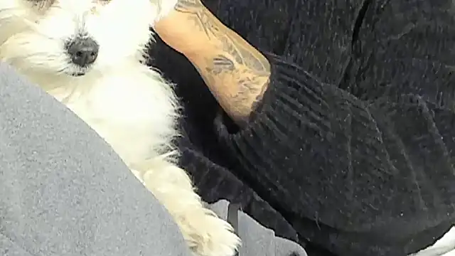 Ama music online show from 12-17-24, 08:21