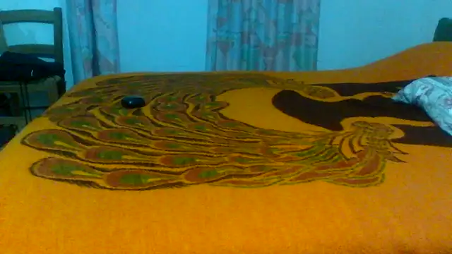 Snapshot of petan33 chatting on 10-20-25, 07:47 petan33 online show from 10-20-25, 07:47