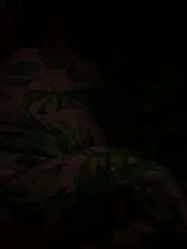 Snapshot of smithrosinha chatting on 02-11-25, 04:44 smithrosinha online show from 02-11-25, 04:44