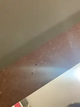 Snapshot of smithrosinha chatting on 09-19-25, 05:24 smithrosinha online show from 09-19-25, 05:24