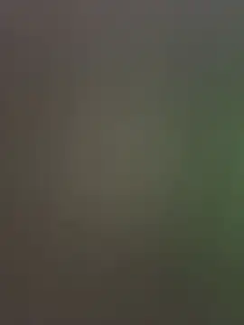 palomamoraid online show from 12-20-24, 11:26