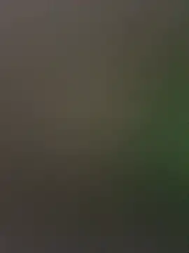 palomamoraid online show from 12-27-24, 01:50