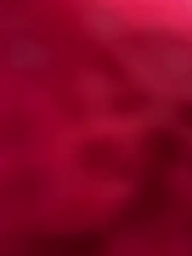 palomamoraid online show from 03-12-25, 10:50