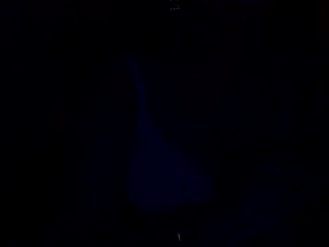 sanam rose online show from 01-02-25, 12:03