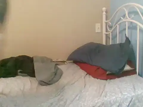 SmokingSloth online show from 03-09-25, 05:06