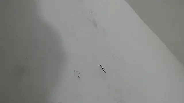 brant garciabbc online show from 01-18-26, 06:17