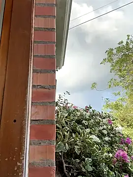 Snapshot of Penelope-Hot chatting on 11-11-25, 08:53 Penelope-Hot online show from 11-11-25, 08:53