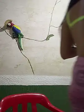 Snapshot of Karla-sexy01 chatting on 01-04-25, 03:07 Karla-sexy01 online show from 01-04-25, 03:07