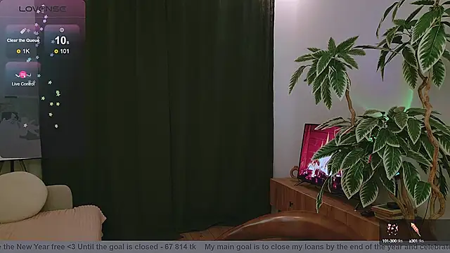 Pink SeaGul online show from 12-12-24, 04:53