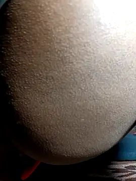 Snapshot of Fucker_boy_1 chatting on 12-24-24, 08:38 Fucker boy 1 online show from 12-24-24, 08:38