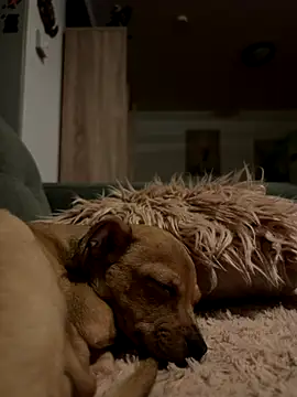 mecbxl25 online show from 11-29-25, 05:38