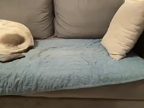 4small4inchlol online show from 02-20-26, 11:49