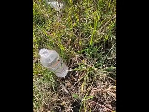 boy BeardGallery online show from 11-10-25, 09:52