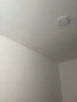 Arilw online show from 11-21-25, 02:05