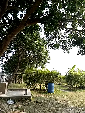 Hot Urvi online show from 12-19-25, 07:04