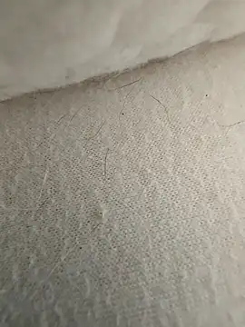 hungarian dick online show from 09-21-25, 09:33