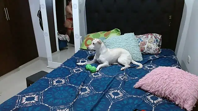 Snapshot of amazonafit_ chatting on 02-15-25, 04:14 amazonafit online show from 02-15-25, 04:14