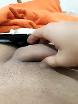 lm279 online show from 11-23-25, 01:33