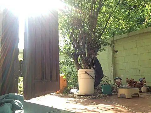 Snapshot of scottish068 chatting on 03-14-25, 01:59 scottish068 online show from 03-14-25, 01:59