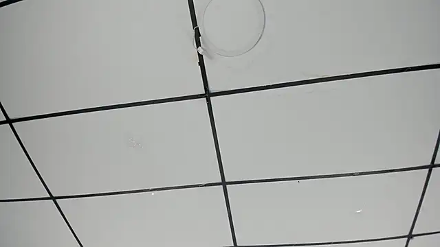 Sophia Lemos online show from 10-18-25, 01:45