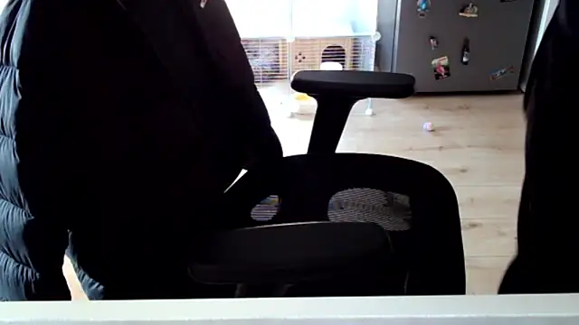 Snapshot of ElViko11 chatting on 03-20-26, 08:08 ElViko11 online show from 03-20-26, 08:08